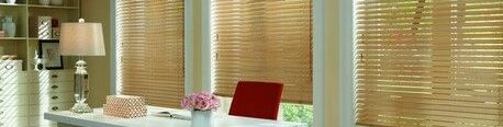 Titusville Window Blinds